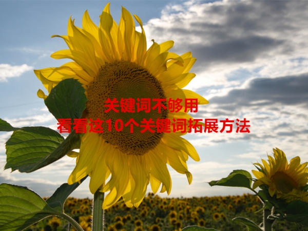 關(guān)鍵詞不夠用，看看這10個(gè)關(guān)鍵詞拓展方法！